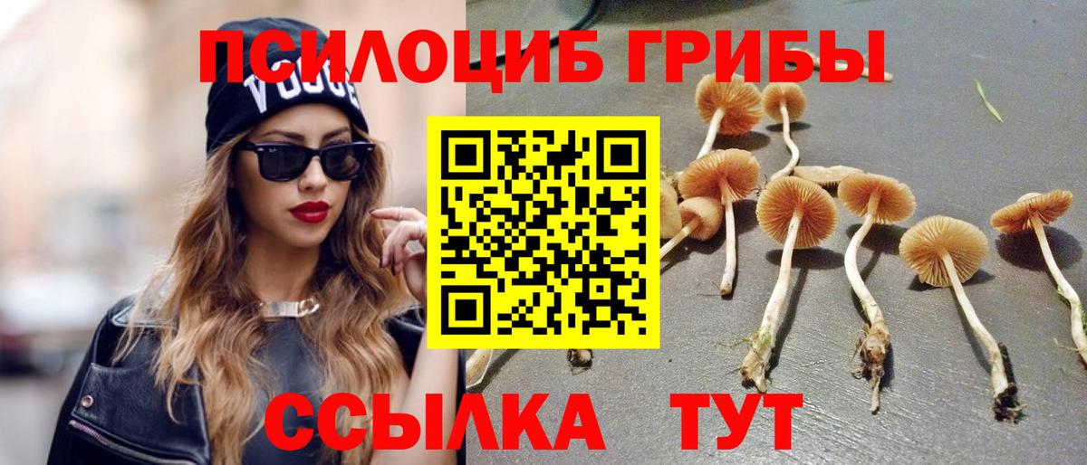 Псилоцибиновые грибы мухоморы Истра